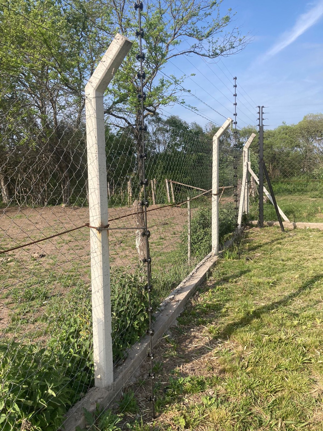 Cerco eléctrico sobre olímpico en un predio rural de gran porte